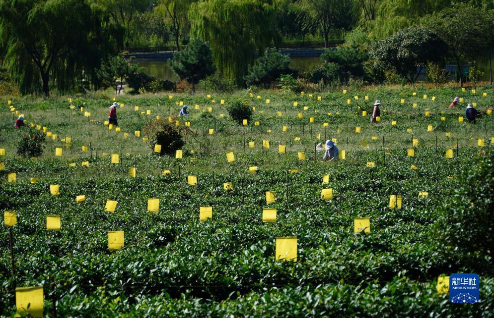 轮盘游戏图片