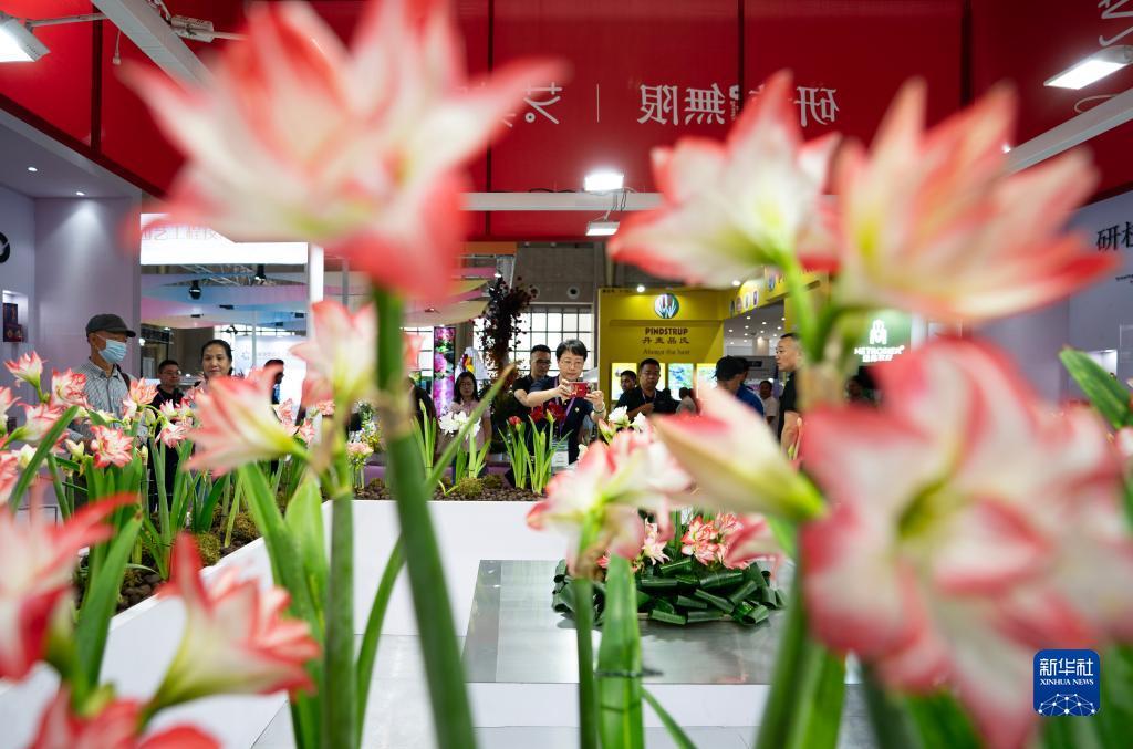 宝马游戏平台官网